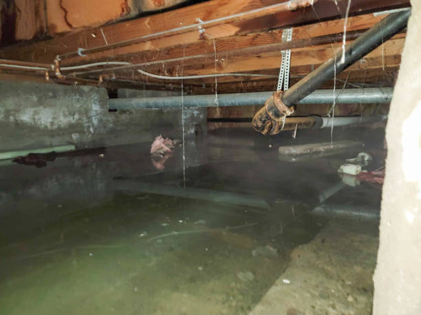 Best Water damage restoration cost  in Kyle, TX