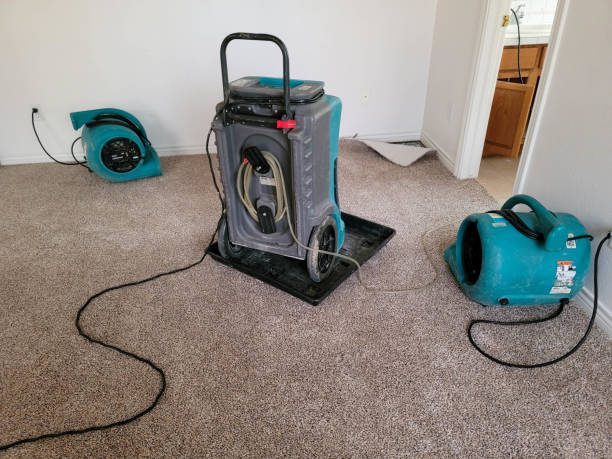 Best Fire Damage Restoration  in Kyle, TX