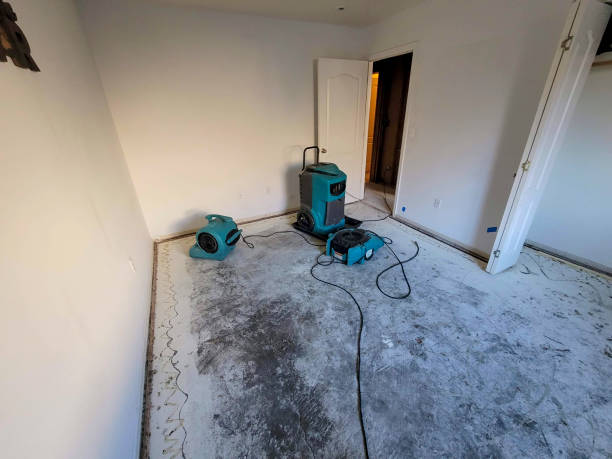 Best 24-hour water damage restoration  in Kyle, TX