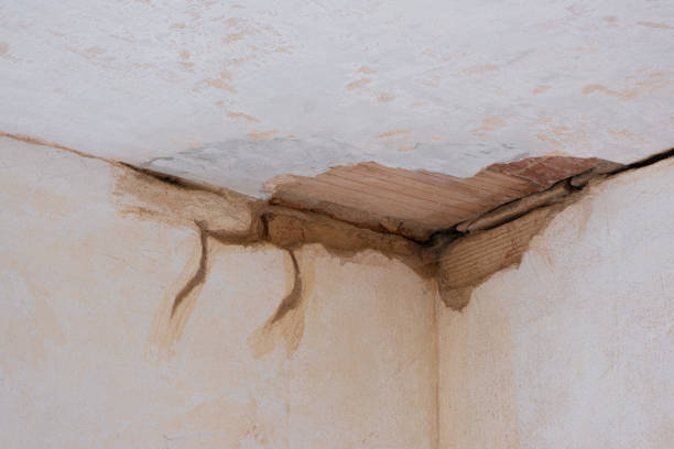 Best Professional water damage repair  in Kyle, TX