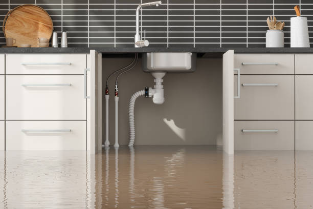 Best Flooded house restoration  in Kyle, TX